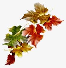 We regularly add new gif animations about and. Transparent Fall Leaves Falling Png Gif Animation Fall Leaves Gif Free Transparent Clipart Clipartkey