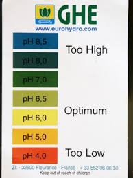 Marijuana Water And Ph