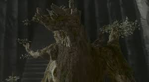 Treebeard quotes exists just do that. Treebeard The One Wiki To Rule Them All Fandom