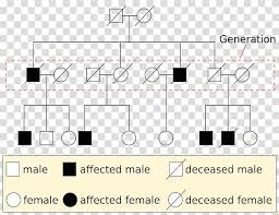 Pedigree Chart Genetics Mendelian Inheritance Bloodstain