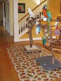 Keeping Up Appearances Contest Winners Announced Diy Bird Toys Parrot Pet Parrot