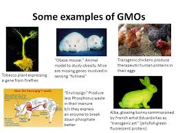 Biotechnology Ppt Video Online Download