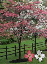 Maybe you would like to learn more about one of these? Missouri State Symbols Facts Photos Visitor Info