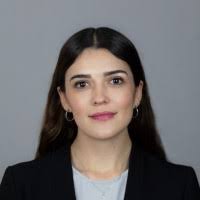 70+ "Laura López González" profiles