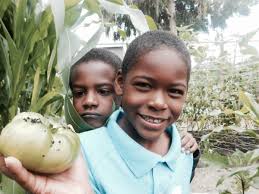 Become a Friend of the Farm!