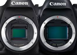 These are wall street's top analysts favorite stocks heading into june. The Advantages Of A Full Frame Camera Canon Australia