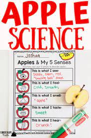 Apple Unit And Johnny Appleseed Activities Preschool Apple Theme Apple Preschool Apple Lessons