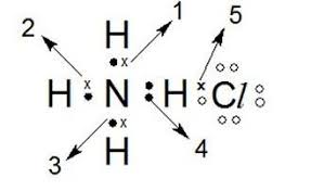 Co2 lewis structure molecular geometry and hybridization. Gambarkan Struktur Lewis Dari A H2so4 B Pcl5 C Nh4cl