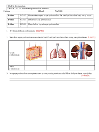 Sekian artikel mengenai 4 organ dalam sistem ekskresi pada manusia lengkap bagian, fungsi dan gambarnya. Bab 3 Perkumuhan Pbs