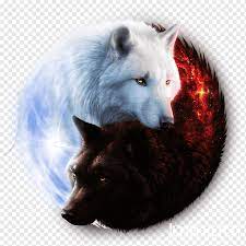 The next day, river stone and white lightning arrived back at the village to an anxious reception by the tribal elders. Two Black And White Wolves Illustration Gray Wolf Hoodie T Shirt Yin And Yang Clothing Wolf Animals Hat Dog Like Mammal Png Pngwing