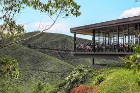 This led to him opening the boh tea plantation in cameron highlands and soon, the iconic landmark will be celebrating its 90th birthday. Cameron Highlands One Day Trip With Prices And Bonus Tips Daily Travel Pill