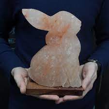 Positive ions are generated by many things, but most of them. Rabbit Carved Himalayan Salt Lamp