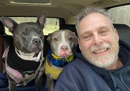 Repair tube amplifier in Middle Tennessee?