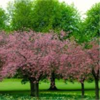 Jerry Mack Dunn Obituary