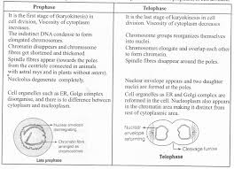 The plant cells apart from having cell organelles like the nucleus, endoplasmic reticulum and mitochondria have cell wall and chloroplast, which are absent in the animal cell. Ncert Exemplar Solutions For Class 11 Biology Chapter 10 Cell Cycle And Cell Division