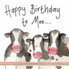 Cows Birthday Card Cow Birthday Happy Birthday Cow Happy Birthday Cards