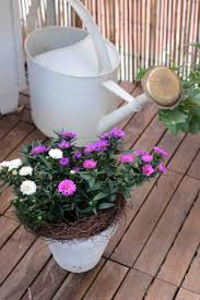 Weitere ideen zu dekorieren, herbst, dekoration. Balkon Herbst Dekorieren Garten Fraulein Der Garten Blog