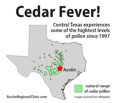 Cedar Fever Is Here Austin Regional Clinic