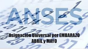 Desde la página de la administración nacional de la seguridad social ( anses) se informó el cronograma de pago para auh, aue y asignación por prenatal entre otros. Fecha De Cobro Asignacion Universal Por Embarazo Abril Y Mayo Mi Anses Tramites