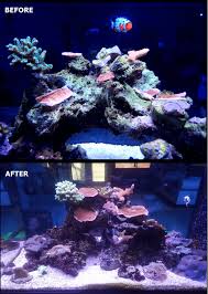The Best Saltwater Led Aquarium Lighting For Corals