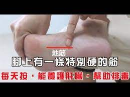 腳上有一條特別硬的筋 每天按 能養護肝臟 幫助排毒 肝不好經常熬夜的人要多按 youtube massage tips health fitness natural health