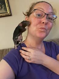 Adorable family of cats with unique personalities