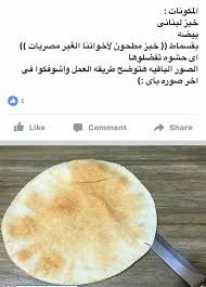 شاورما مقلية 2 food fruit cantaloupe
