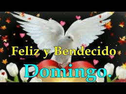 Ver más ideas sobre domingo bendecido, imagenes de frases sarcasticas, frases del guason. Feliz Y Bendecido Domingo Paperblog