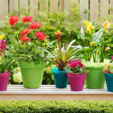 Diy flower pots are a great way to add some character to your flowers both indoors and outdoors. 7 Bulbs To Grow In Containers This Summer Bulb Blog Gardening Tips And Tricks Learn Planting Techniques Bulbs And Perennial Information
