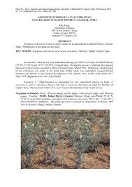 Image result for Argemone ochroleuca