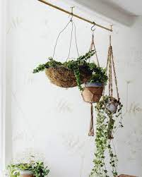 visually divide a room with kitchen rod fixed to the ceiling and macrame hanging plants indoor diy bloem modica deck rail planter 24