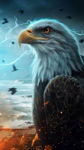 Feel free to download, share, comment and discuss every wallpaper you like. Eagle Iphone 4k Wallpapers Wallpaper Cave