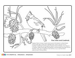 So much for the imagination. Winter Cardinal Coloring Handout Art Sphere Inc