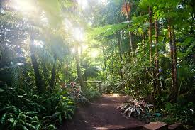 Gewachshaus Grugapark Essen Foto Bild Deutschland Europe Nordrhein Westfalen Bilder Auf Fotocommunity