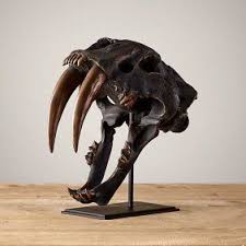 Skull And Mandible Of Saber Toothed Tiger Sculpture Illustration Animale Illustration Felin