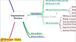 mind map organization structure as per pmbok pmp