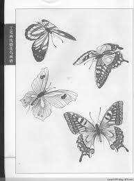 工笔画白描 蝴蝶 水韵清香 水韵清香 floral art lotus flower tattoo dreamcatcher tattoo