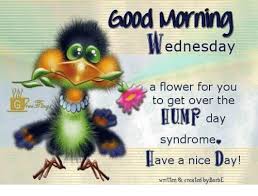 Check spelling or type a new query. Hump Day Quotes For Work Happy Hump Day Why Is It On A Wednesday And What Are The Funniest Dogtrainingobedienceschool Com