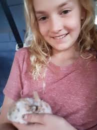 Flagstaff Rabbit House