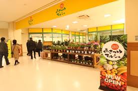 東温の新鮮野菜を買うならココがおすすめ！「○○×産直…｜ニュース&ブログ｜東温市移住・定住支援ポータルサイト