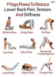 Yoga Poses Easy Yoga Workouts Yoga Postures Back Exercises