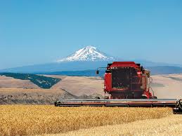 According to figures published in december 2009 by the food and agriculture organization of the united nations, it is the world's largest producer of coconuts, producing 19,500,000 tonnes in 2009. Wheat Of The World In Oregon Farm Flavor