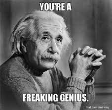 But sometimes they refer to the unintelligent person as a genius, or to make humor of the person. You Re A Freaking Genius Serious Albert Einstein Make A Meme