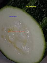 We decided to select 1 medium sized zucchini about 8 inches long, 2 inches in diameter and weighing about 5 ounces for our how many zucchini in a cup testing samples. Marrow Vegetable Wikipedia