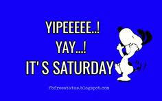 Quotes are those essences that can give your saturday the best start and keep your mind freshened all through the good morning, everyone. 240 Good Morning Saturday Ideas In 2021 Good Morning Saturday Saturday Quotes Good Morning