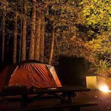 Redwood national park in california is known for big trees but there is so much more to this park! Things To Do Redwood National And State Parks U S National Park Service