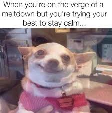 Custom Image Nurse Humor Nursing Memes I Love To Laugh