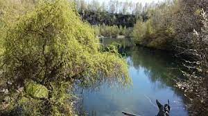 We did not find results for: Lomecek U Domazlic Vylet A Potapeni Tipy Na Vylet Turistika Cz