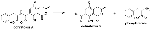Toxins Free Full Text Toxin Degradation By Rumen Microorganisms A Review Html