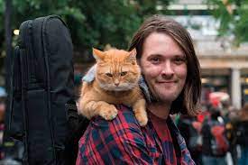 A Street Cat Named Bob 2 Lands Its Director Film Stories
